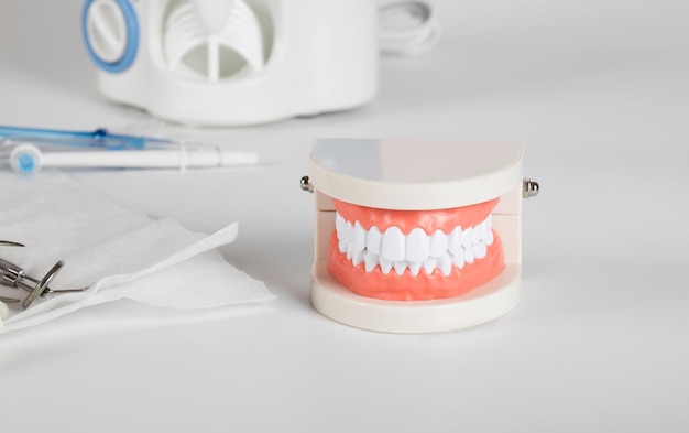 Zahn- und Kiefermodell. Andere zahnmedizinische Werkzeuge im Hintergrund.
