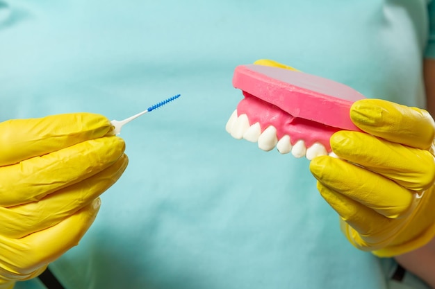 Zahnarzt mit interdentalen Zahnstocherbürsten und Anordnung des menschlichen Kiefers