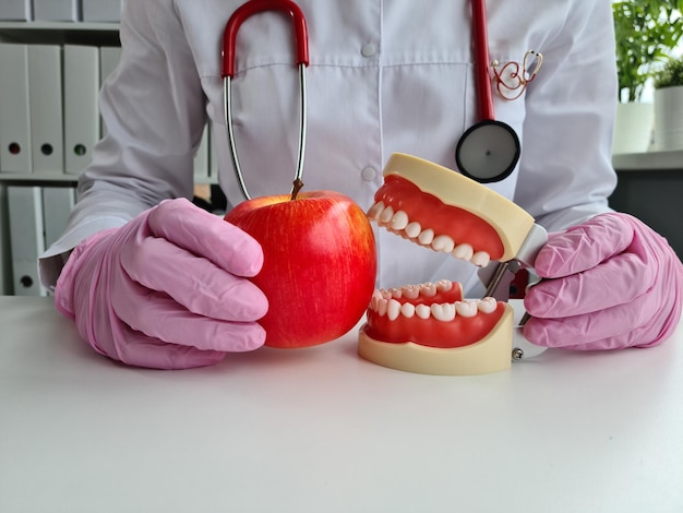 Zahnarzt mit künstlichem Kiefer und Apfel Nahaufnahme