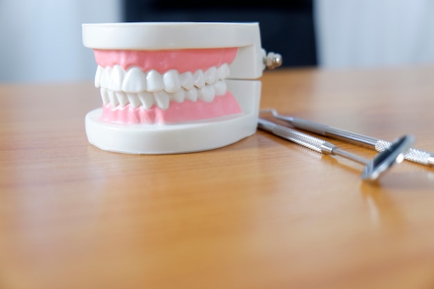Foto zahnmodell auf dem tisch des zahnarztes