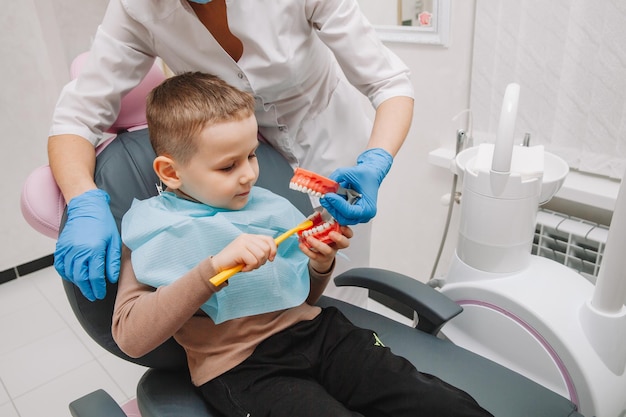 Zahnpflege. Zahnarzt mit einem kleinen Patienten, der lernt, wie man Zähne auf einer Prothese putzt.