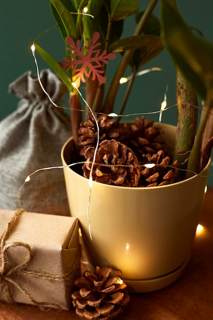 Zamioculcas decoradas com gerland e brinquedos de madeira Árvore de Natal feita de plantas de casa Caixas de presente embaladas em papel Eco conceito de natal