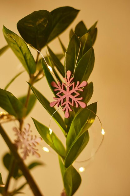 Zamioculcas decoradas com gerland e brinquedos de madeira Árvore de Natal feita de plantas de casa Caixas de presente embaladas em papel Eco conceito de natal