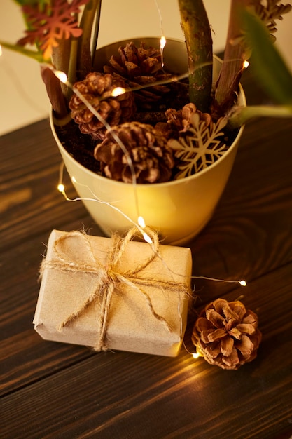 Zamioculcas decoradas con gerland y juguetes de madera Árbol de Navidad hecho de plantas de interior Cajas de regalo empacadas en papel Concepto de Navidad ecológica