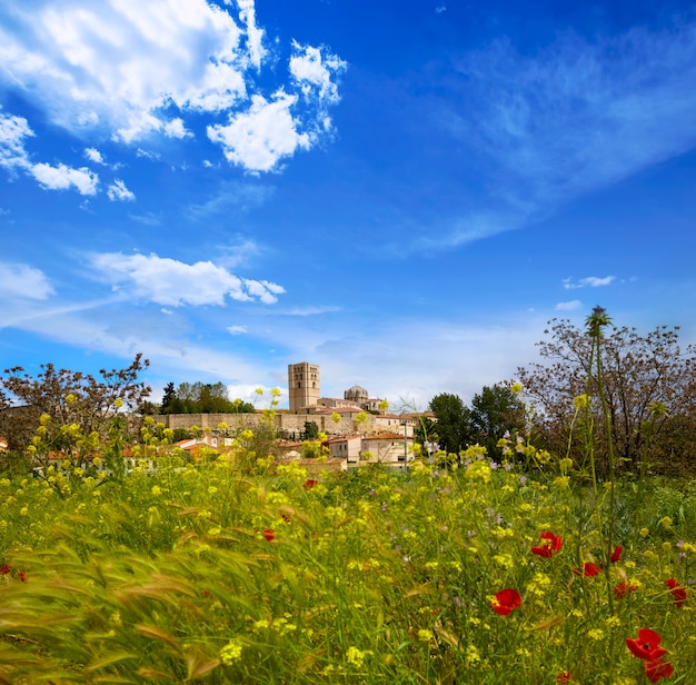 Zamora, primavera, campo, skyline, espanha