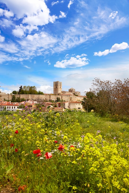 Zamora, primavera, campo, skyline, espanha