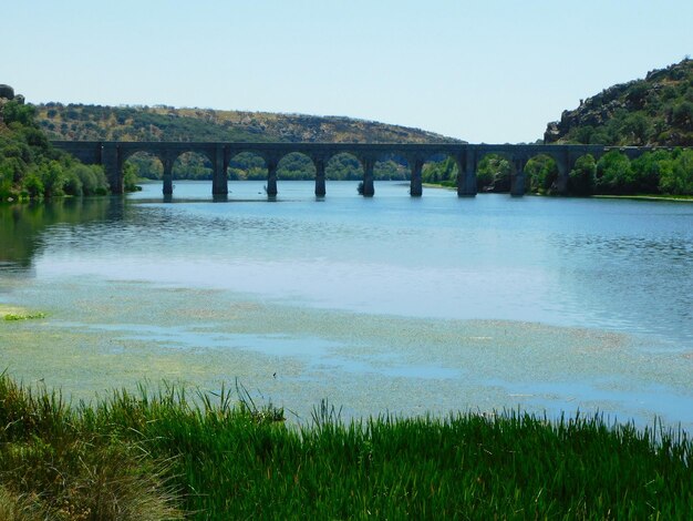 Foto zamora río esla cerca de un puente