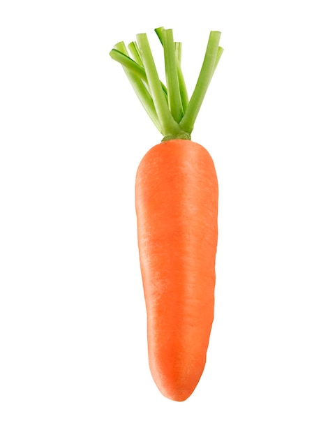 Foto zanahoria aislada sobre un fondo blanco
