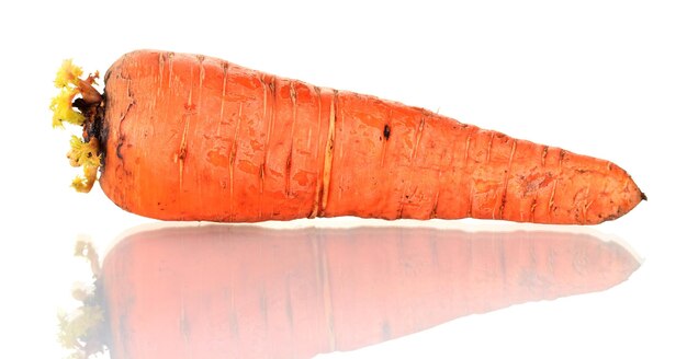 Zanahoria cruda aislada en un blanco