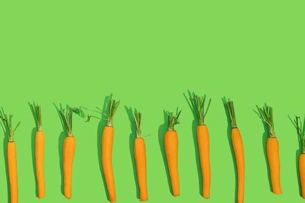 Zanahoria naranja fresca y joven con tallo de hoja verde en una fila sobre un fondo verde de color brillante con espacio para copiar en un día soleado con sombras nítidas Concepto de alimentación de dieta saludable Idea de comida cruda