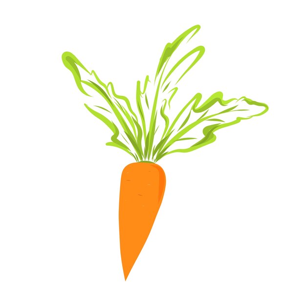 zanahoria naranja pintada a mano en estilo infantil ilustración vegetal aislado en blanco