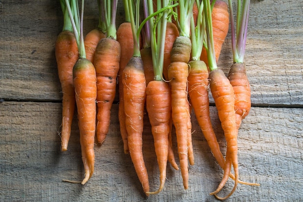 Zanahorias bebe