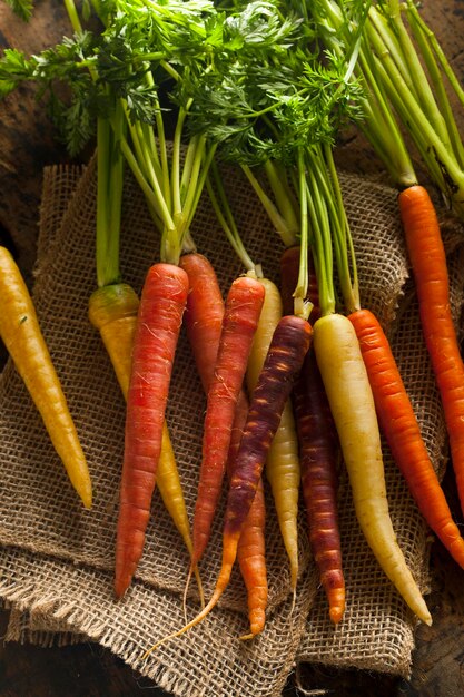 Las zanahorias crudas multicolores en el fondo