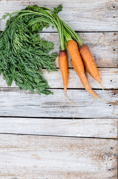 Zanahorias enteras recién lavadas con hojas.