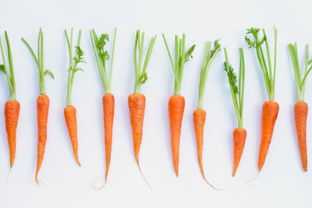 Zanahorias frescas aisladas