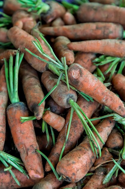 Zanahorias frescas en el mercado