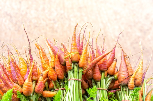 Zanahorias frescas en el mercado