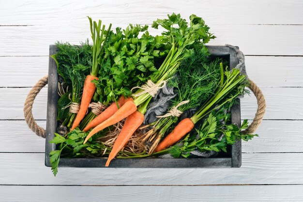 Zanahorias frescas perejil y eneldo Alimentos orgánicos Sobre un fondo blanco de madera Vista superior Espacio libre para texto