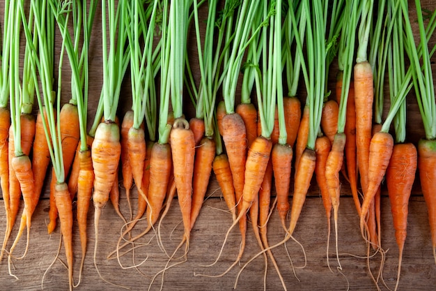 Zanahorias frescas en el piso de madera