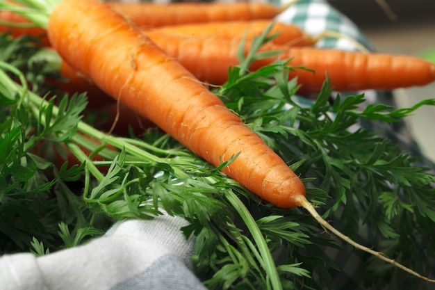 Zanahorias frescas sobre mantel a cuadros de cerca