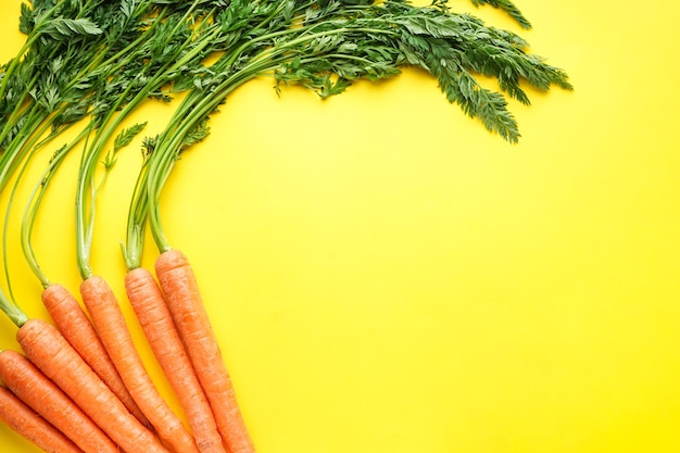 Zanahorias maduras con hojas aisladas