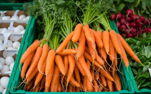 zanahorias en el mercado