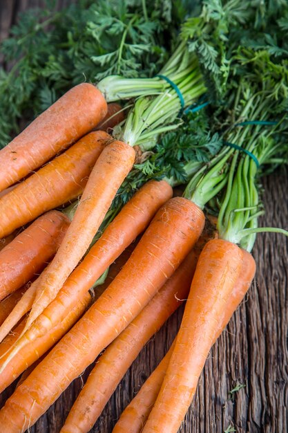 Zanahorias orgánicas frescas crudas en rústica mesa de roble