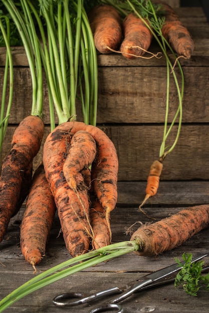 Zanahorias orgánicas frescas en superficie de madera