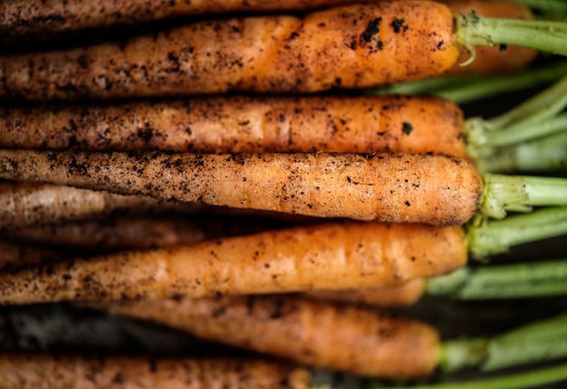 Zanahorias orgánicas frescas