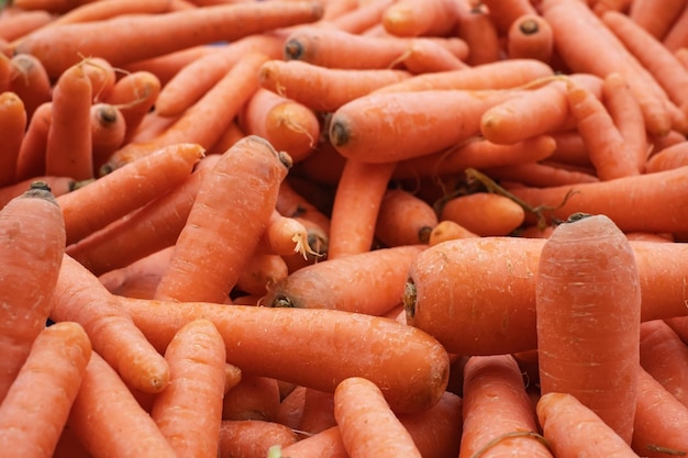 Zanahorias orgánicas en un mercado local de agricultores39 en Fethiye Turkeye