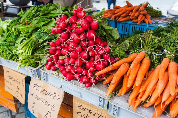 Zanahorias, rábanos y espinacas en el mostrador.