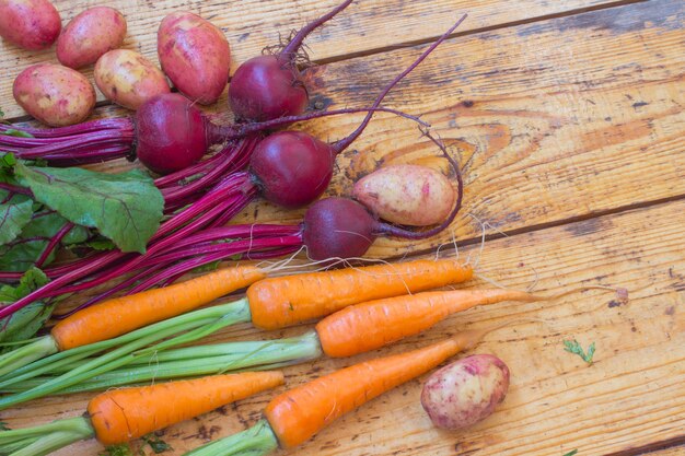 Zanahorias y remolachas con tallos y hojas, frutos de patatas.