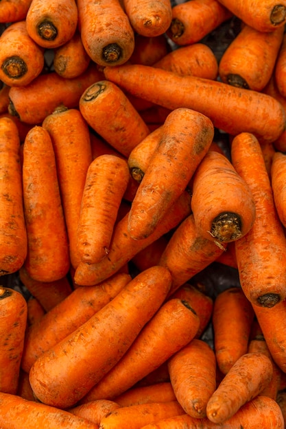 Zanahorias sucias frescas en el mostrador de la tienda Salud y productos naturales Dieta y vitaminas Gran plan Vertical