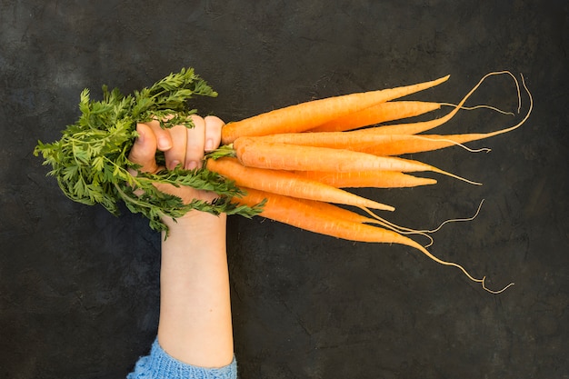 Zanahorias