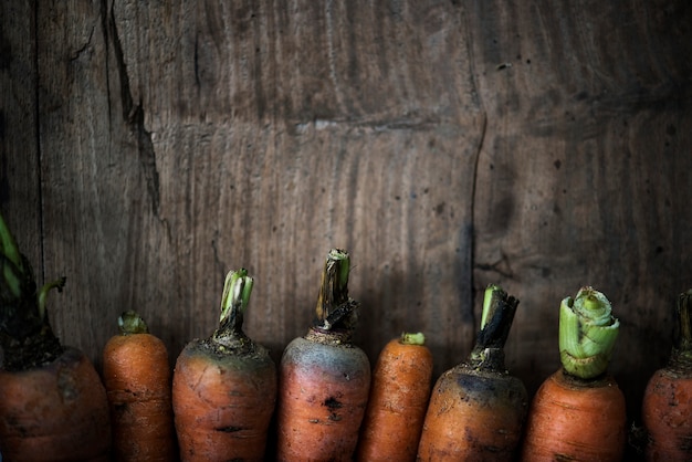 Zanahorias