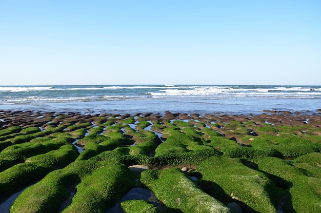 Zanja de piedra de la costa de Laomei