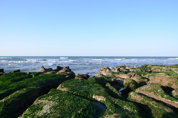 Zanja de piedra de la costa de Laomei