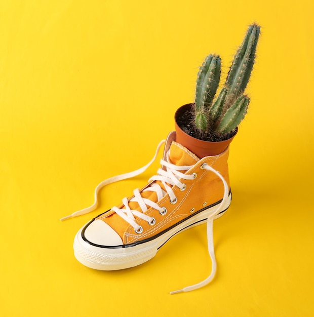 Zapatilla retro con cactus sobre fondo amarillo Minimalismo concepto arte diseño creativo