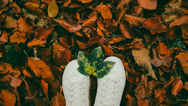 Zapatillas de deporte sobre hojas caídas en el suelo en el parque