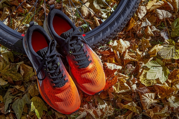 Zapatillas naranjas y rueda de bicicleta en la luz del sol sobre un fondo de hojas de otoño caídas. Estilo de vida saludable