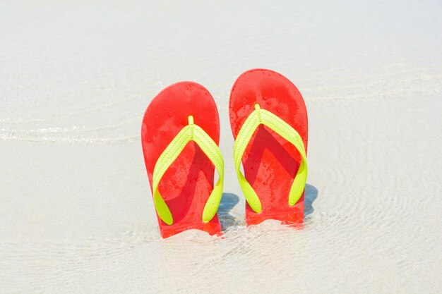 Zapatillas de playa en playa tropical