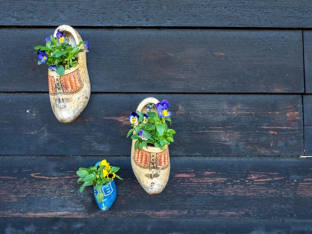 Zapato hecho a mano de madera en la pared de madera oscura