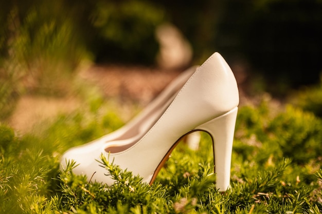 Zapatos de boda blancos con accesorios zapatos de día de verano en el árbol