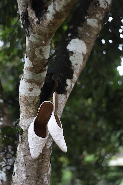 Zapatos de boda blancos elegantes