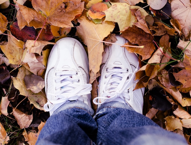 Zapatos de deporte blancos en hojas de otoño. Fondo de temporada de otoño