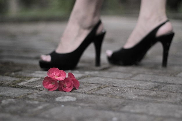 Los zapatos negros de tacón alto de una mujer se encuentran en un camino de piedra con una flor en el suelo.