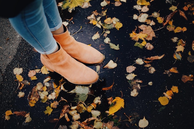 Zapatos de otoño sobre fondo de otoño