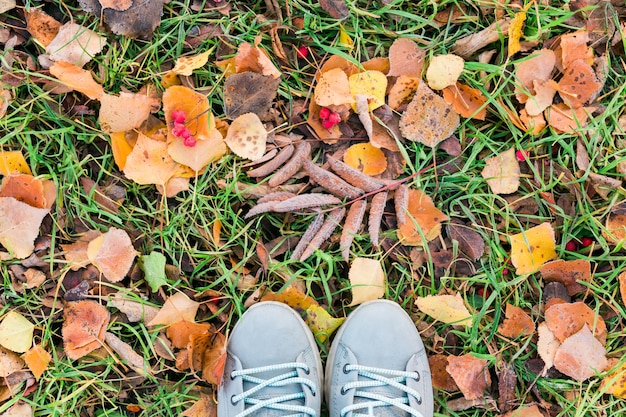 Zapatos de vista superior en el suelo del bosque de otoño con escarcha y hojas que caen en el paisaje del suelo Primer plano de hojas caídas bosque hojas secas espacio de copia de fondo