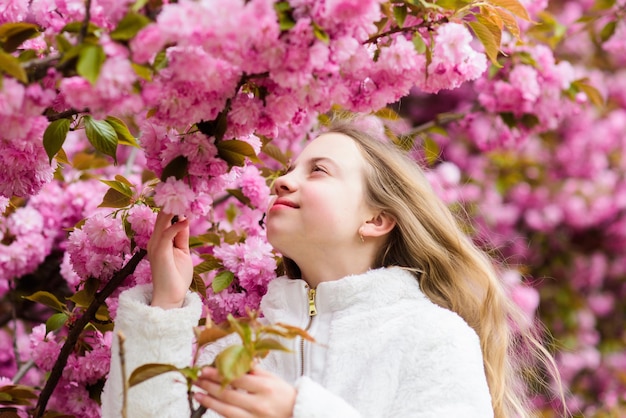 Zarte Blüte Nettes Kind genießen warmen Frühlingstag Aromatische Blüte-Konzept Girl Tourist posiert in der Nähe von Sakura Kind auf rosa Blüten von Sakura-Baum-Hintergrund Girl genießt Kirschblüte oder Sakura