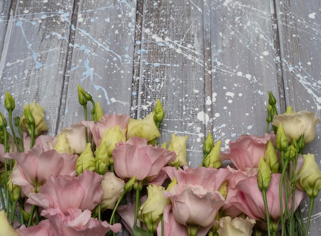 Foto zarte rosa blüten der eustoma- oder lisianthus-pflanze auf hellgrauem hintergrund